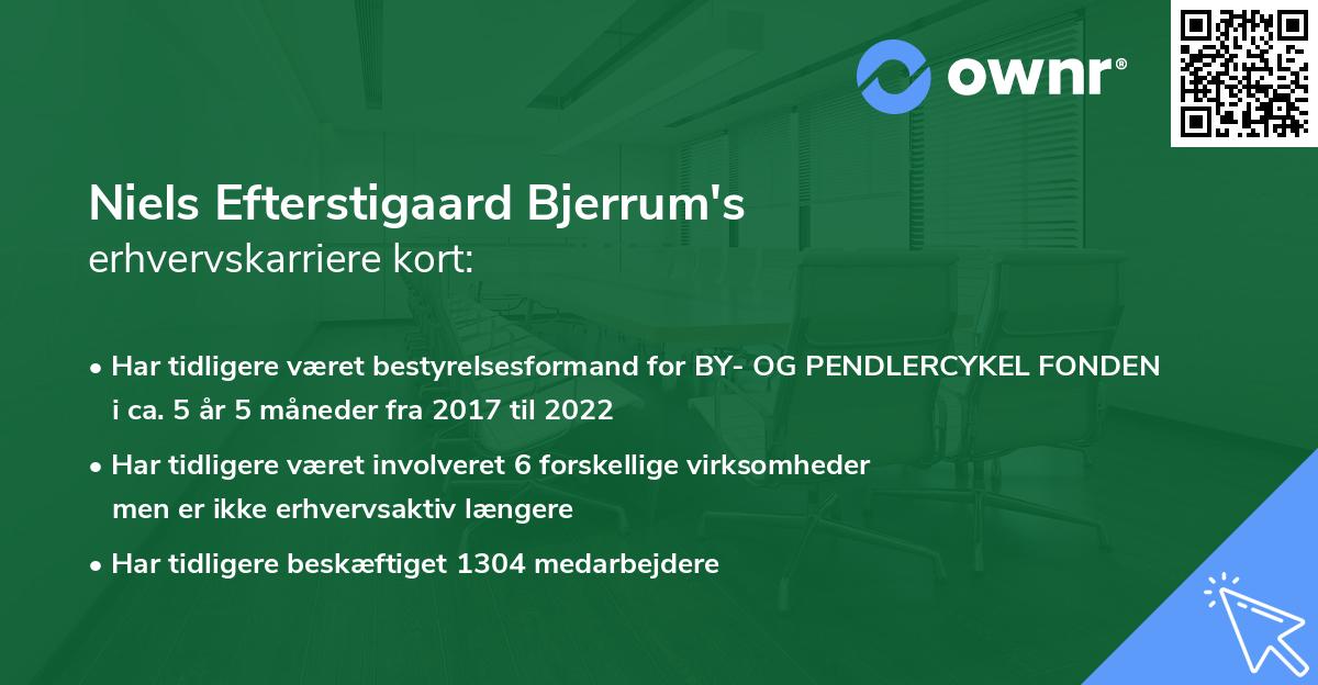 Niels Efterstigaard Bjerrum's erhvervskarriere kort