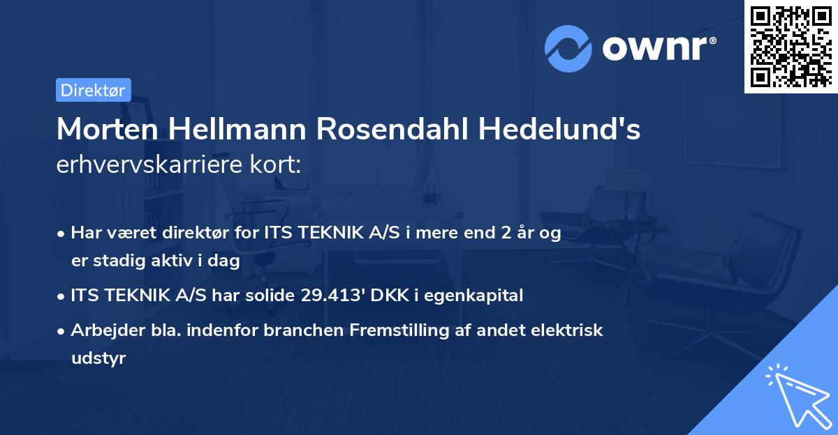 Morten Hellmann Rosendahl Hedelund's erhvervskarriere kort
