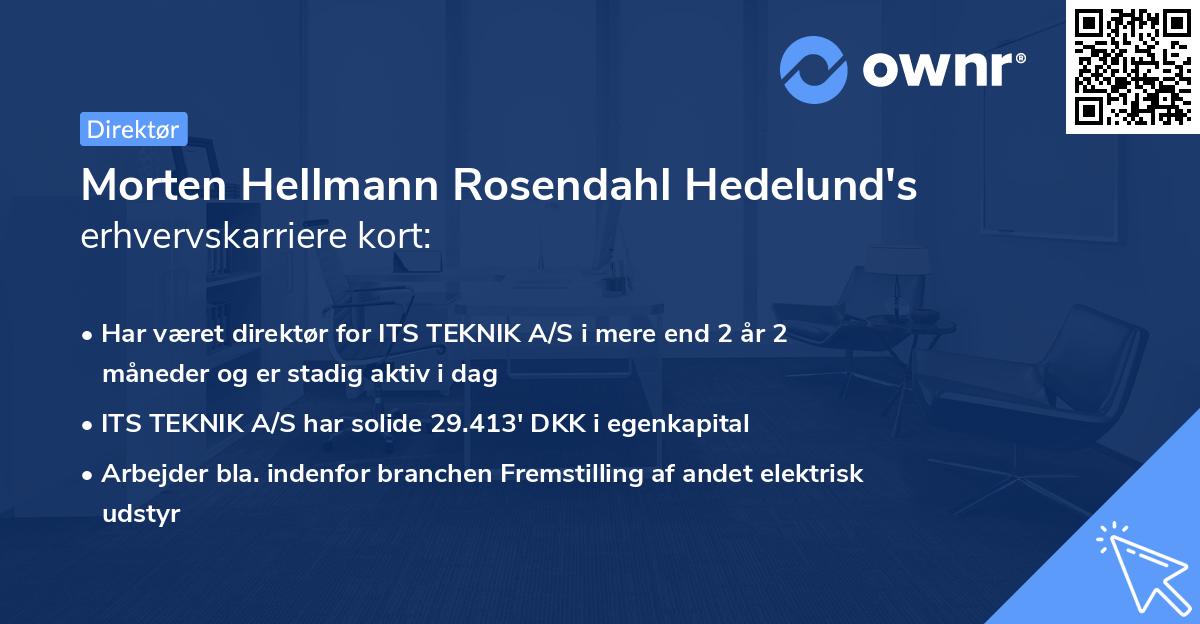 Morten Hellmann Rosendahl Hedelund's erhvervskarriere kort