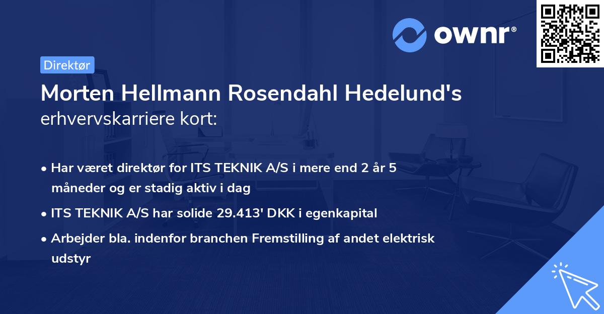 Morten Hellmann Rosendahl Hedelund's erhvervskarriere kort