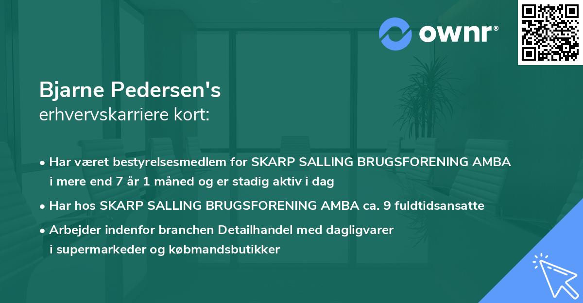 Bjarne Pedersen's erhvervskarriere kort