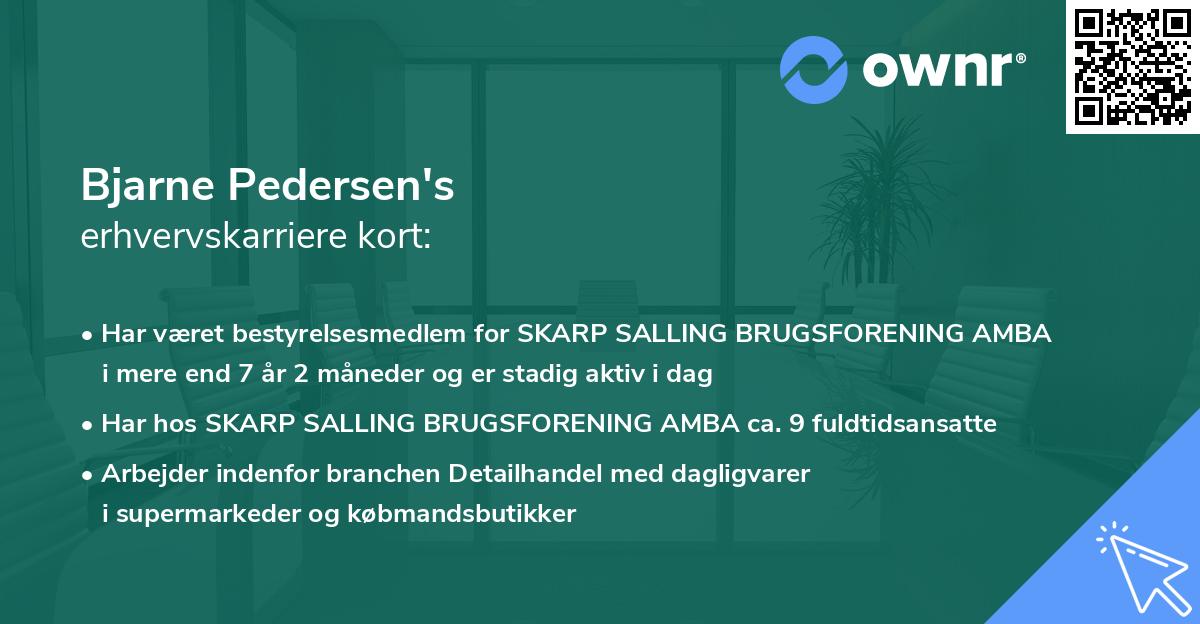 Bjarne Pedersen's erhvervskarriere kort