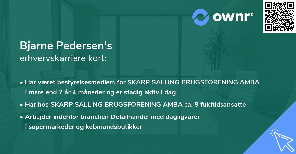 Bjarne Pedersen's erhvervskarriere kort