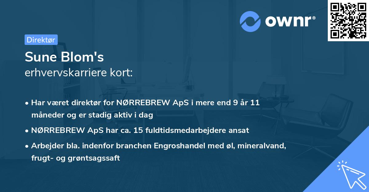 Sune Blom's erhvervskarriere kort