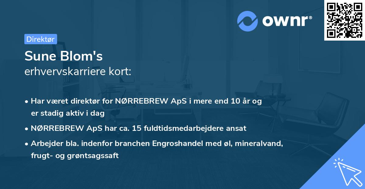 Sune Blom's erhvervskarriere kort