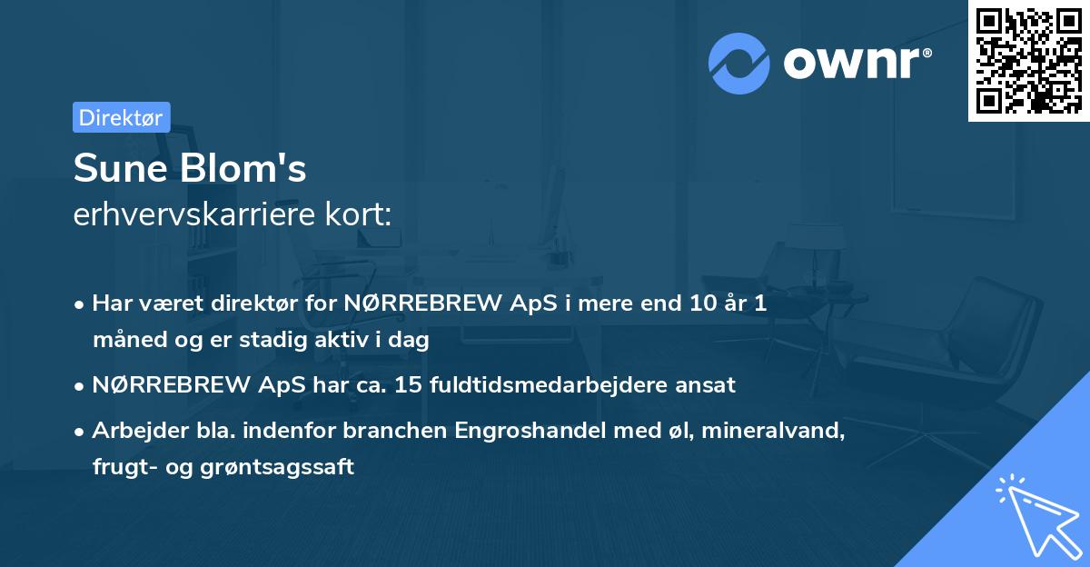 Sune Blom's erhvervskarriere kort