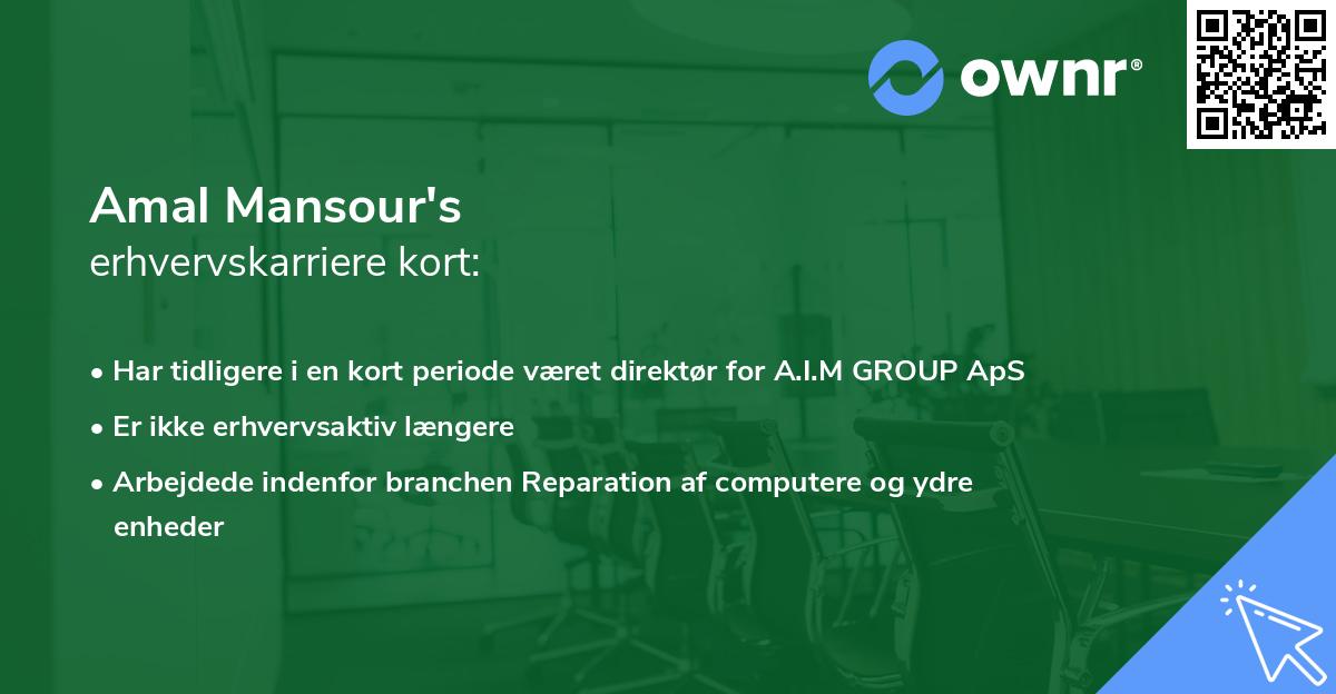 Amal Mansour's erhvervskarriere kort