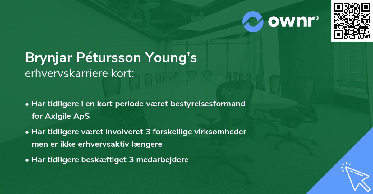 Brynjar Pétursson Young's erhvervskarriere kort