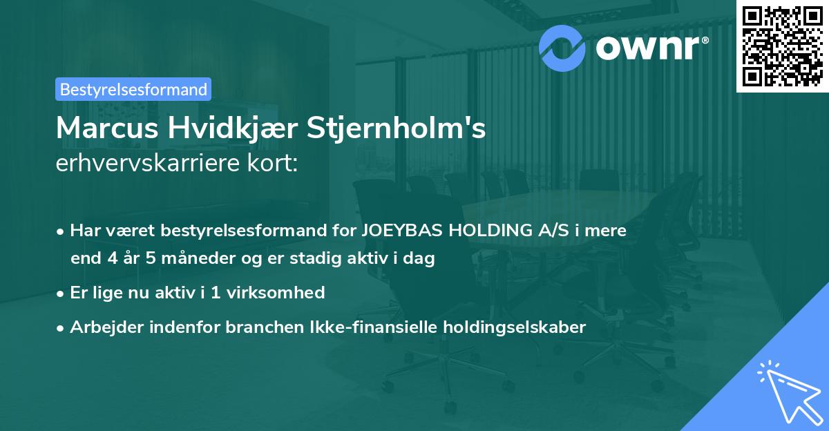Marcus Hvidkjær Stjernholm's erhvervskarriere kort