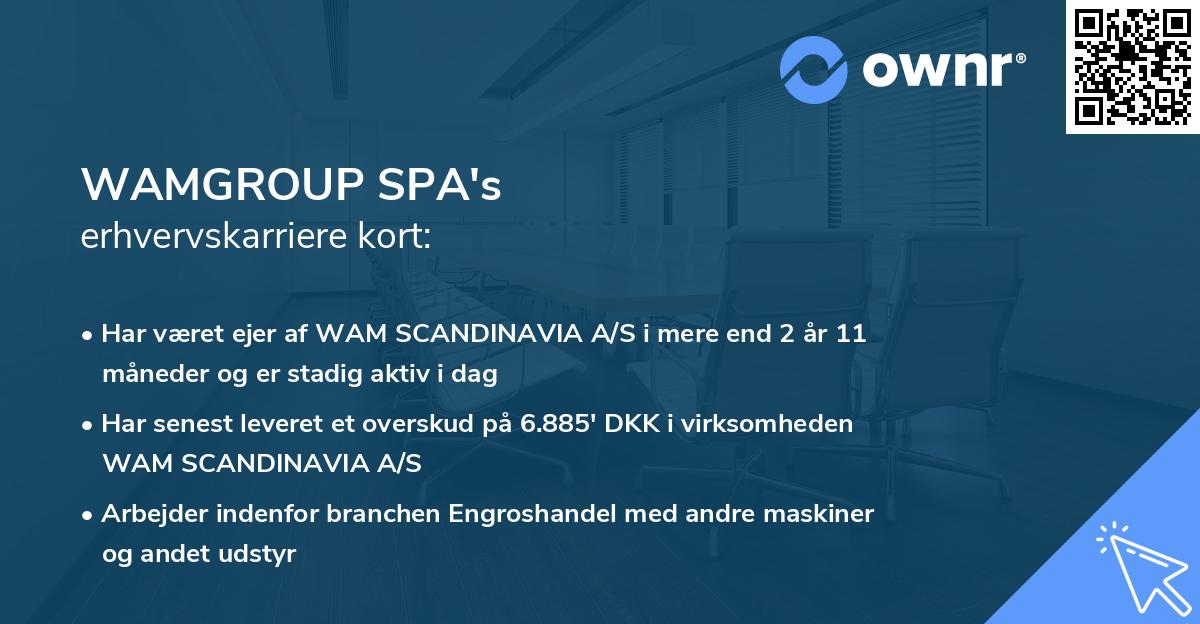 WAMGROUP SPA's erhvervskarriere kort