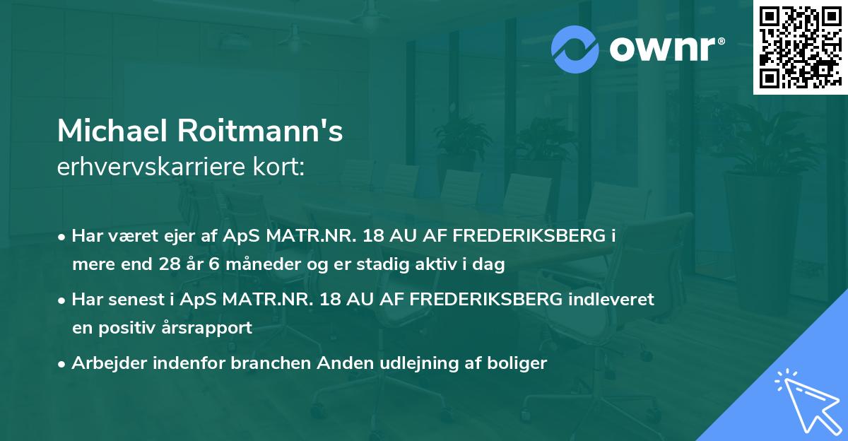 Michael Roitmann's erhvervskarriere kort