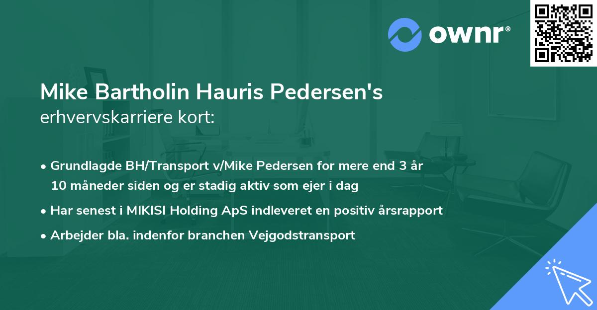 Mike Bartholin Hauris Pedersen's erhvervskarriere kort