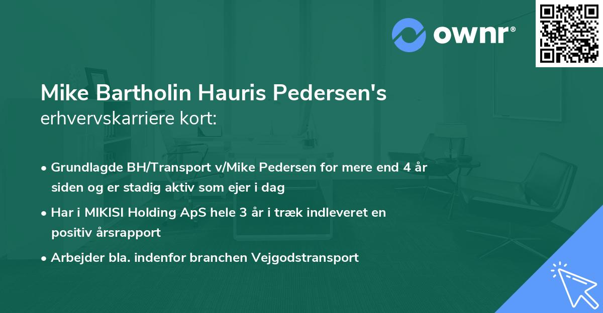 Mike Bartholin Hauris Pedersen's erhvervskarriere kort