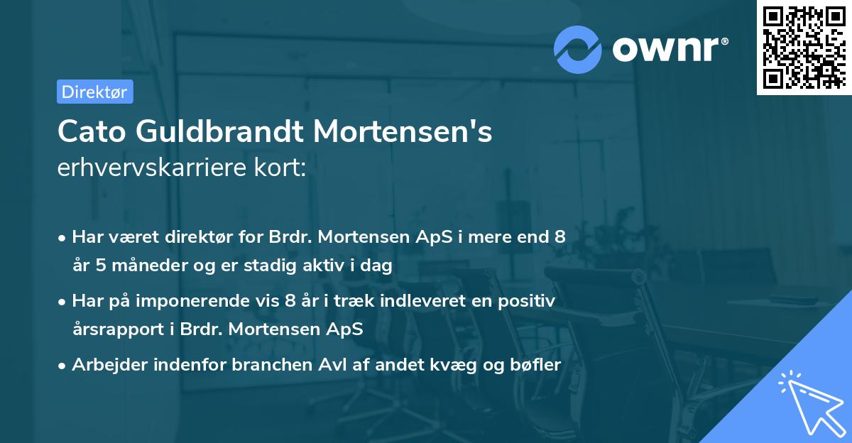 Cato Guldbrandt Mortensen's erhvervskarriere kort