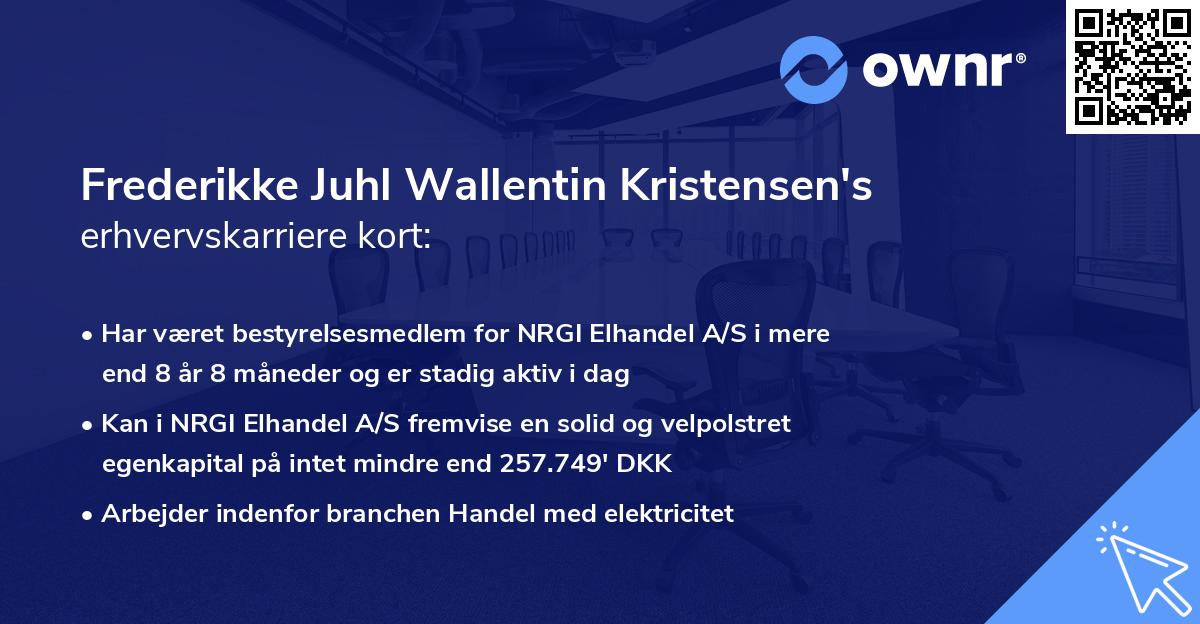 Frederikke Juhl Wallentin Kristensen's erhvervskarriere kort