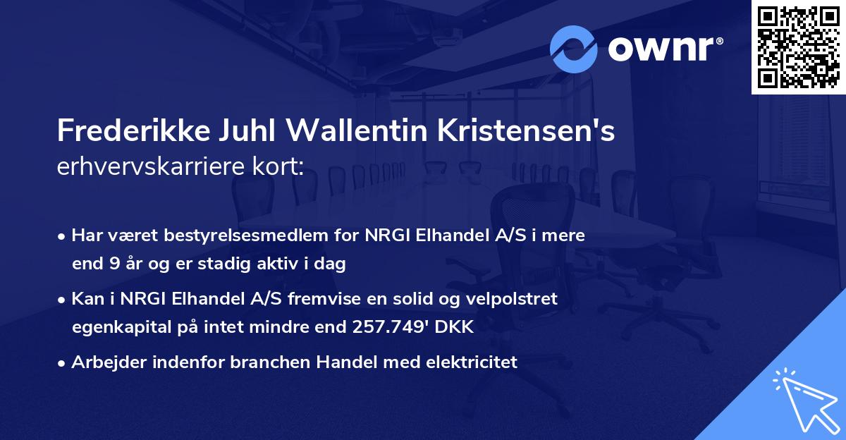 Frederikke Juhl Wallentin Kristensen's erhvervskarriere kort