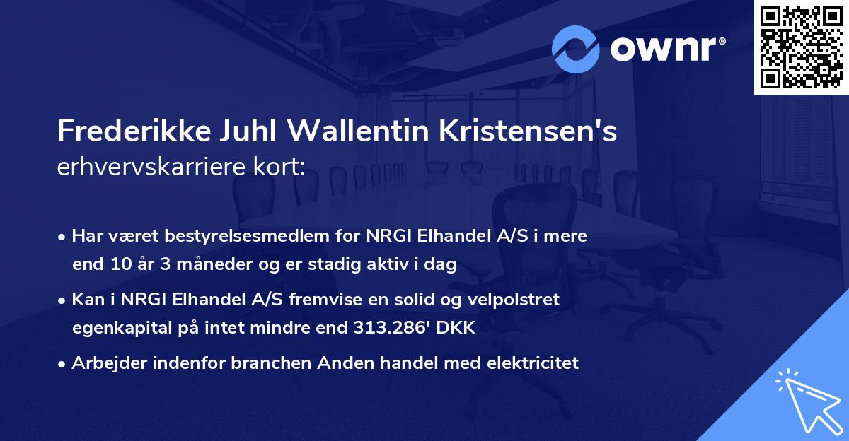 Frederikke Juhl Wallentin Kristensen's erhvervskarriere kort