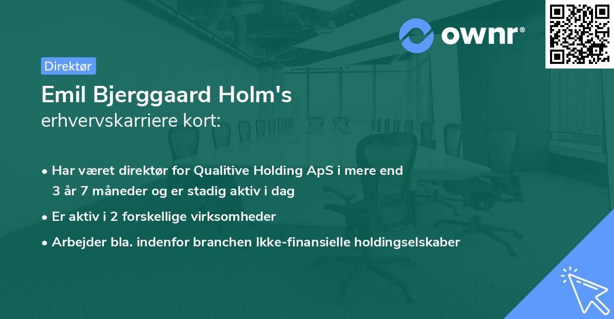 Emil Bjerggaard Holm's erhvervskarriere kort
