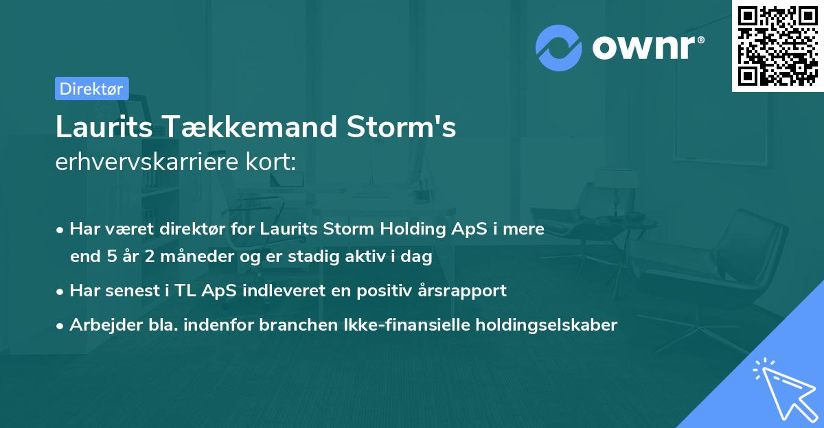 Laurits Tækkemand Storm's erhvervskarriere kort