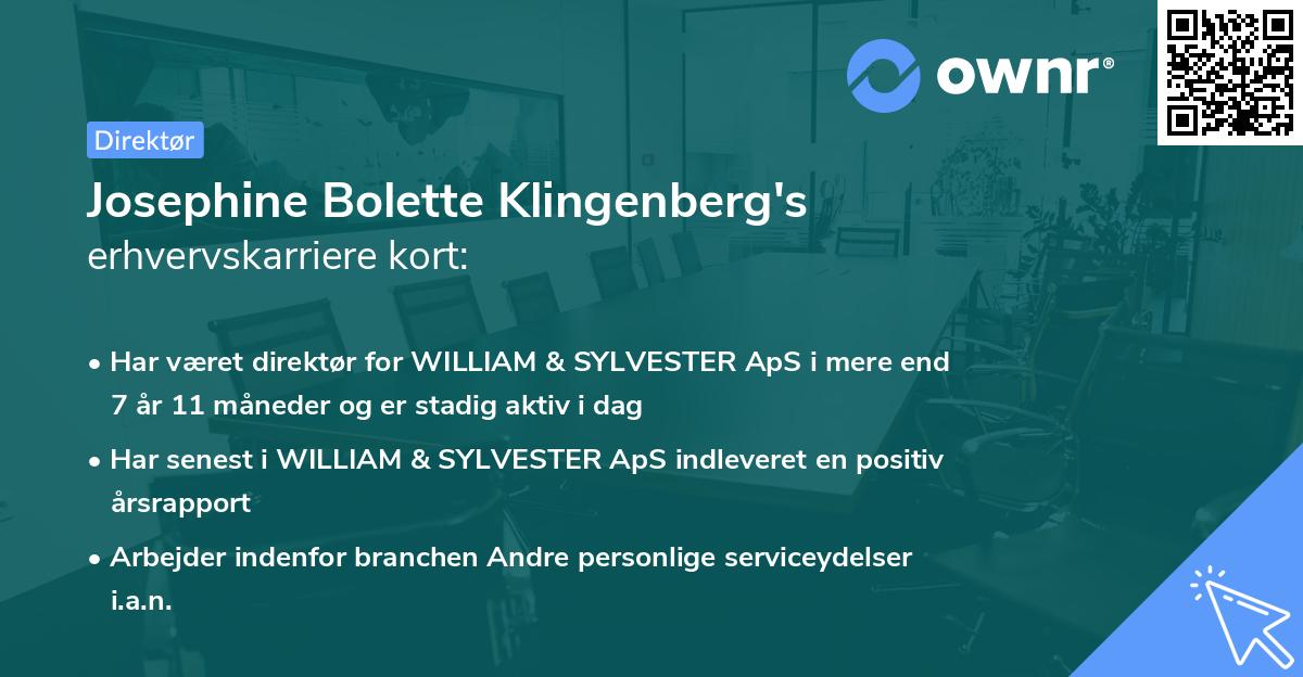 Josephine Bolette Klingenberg's erhvervskarriere kort