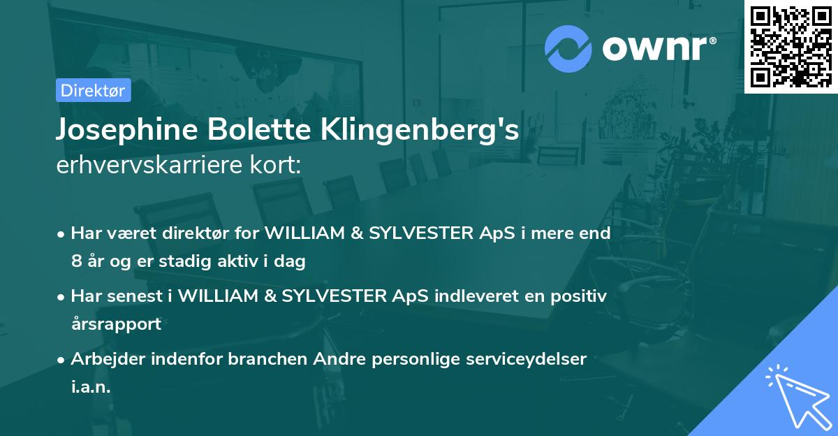 Josephine Bolette Klingenberg's erhvervskarriere kort