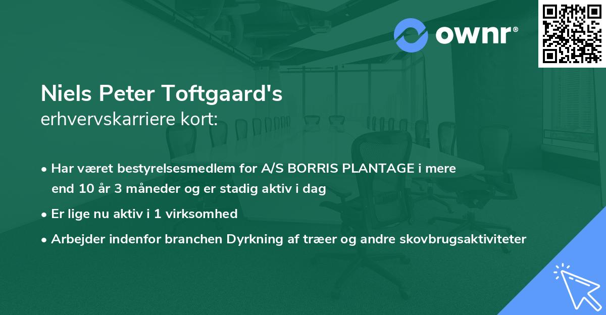Niels Peter Toftgaard's erhvervskarriere kort