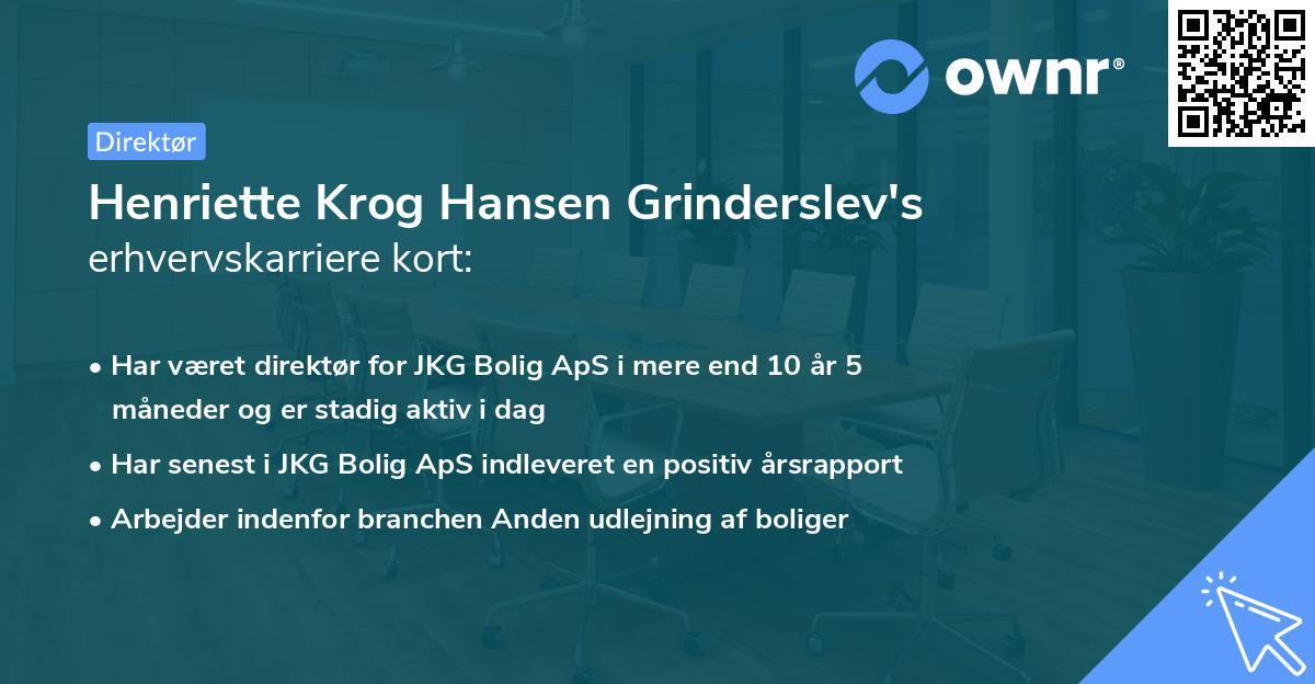Henriette Krog Hansen Grinderslev's erhvervskarriere kort