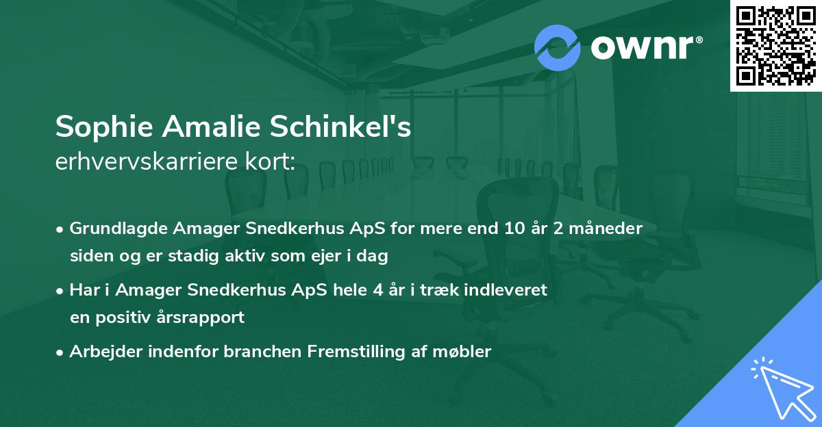 Sophie Amalie Schinkel's erhvervskarriere kort