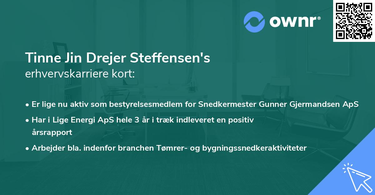 Tinne Jin Drejer Steffensen's erhvervskarriere kort