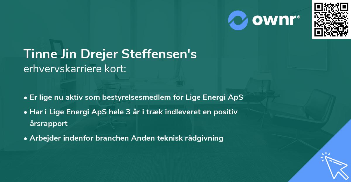 Tinne Jin Drejer Steffensen's erhvervskarriere kort
