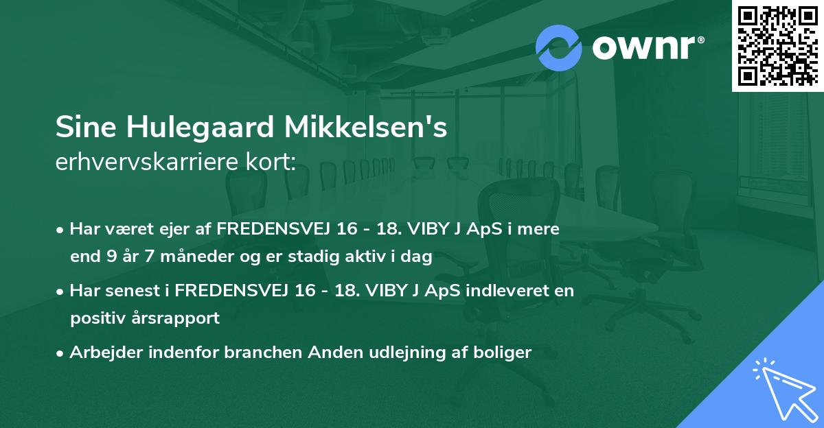 Sine Hulegaard Mikkelsen's erhvervskarriere kort