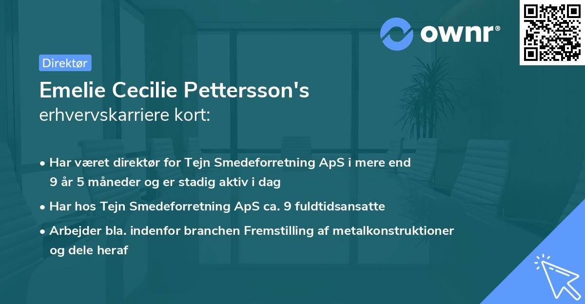 Emelie Cecilie Pettersson's erhvervskarriere kort