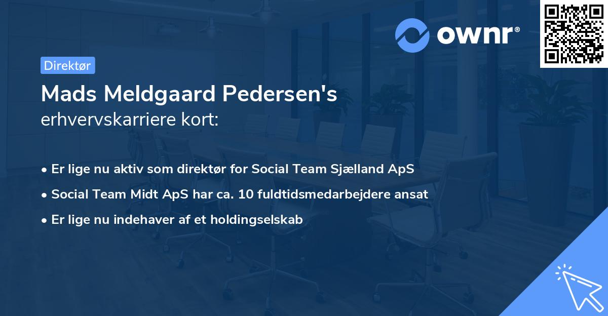 Mads Meldgaard Pedersen's erhvervskarriere kort