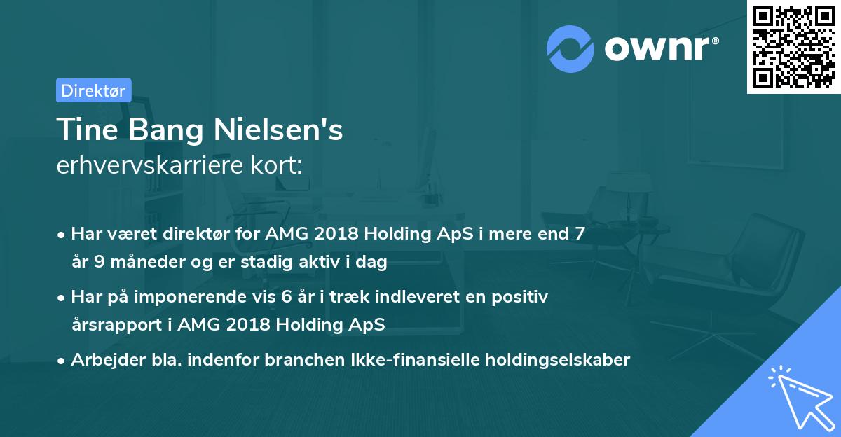 Tine Bang Nielsen's erhvervskarriere kort