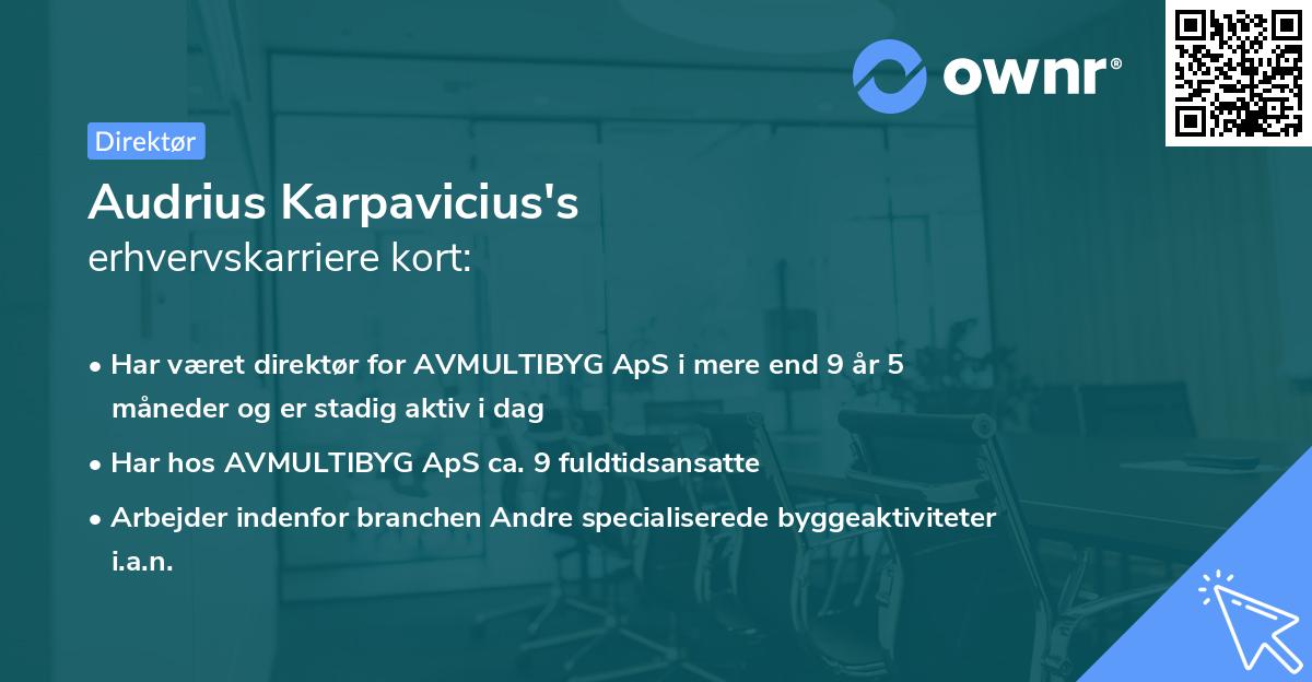Audrius Karpavicius's erhvervskarriere kort