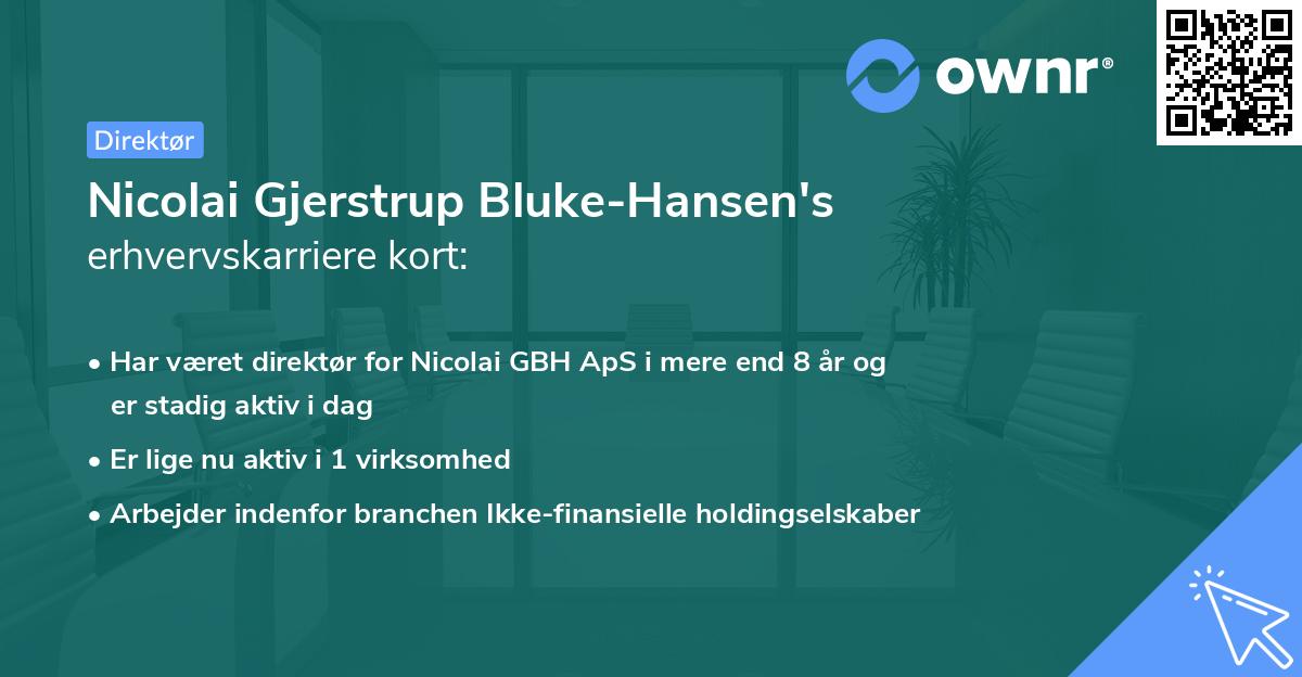 Nicolai Gjerstrup Bluke-Hansen's erhvervskarriere kort