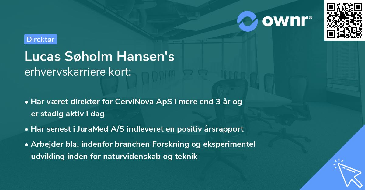 Lucas Søholm Hansen's erhvervskarriere kort
