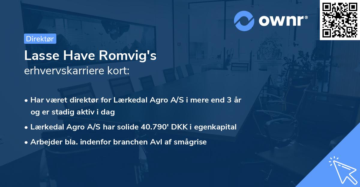 Lasse Have Romvig's erhvervskarriere kort