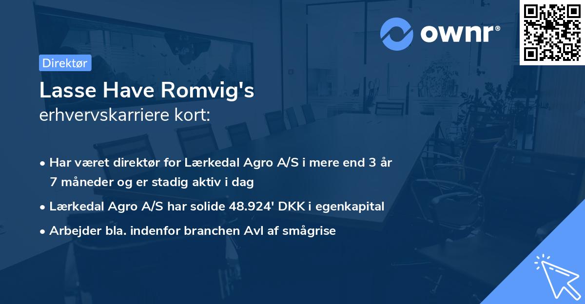 Lasse Have Romvig's erhvervskarriere kort