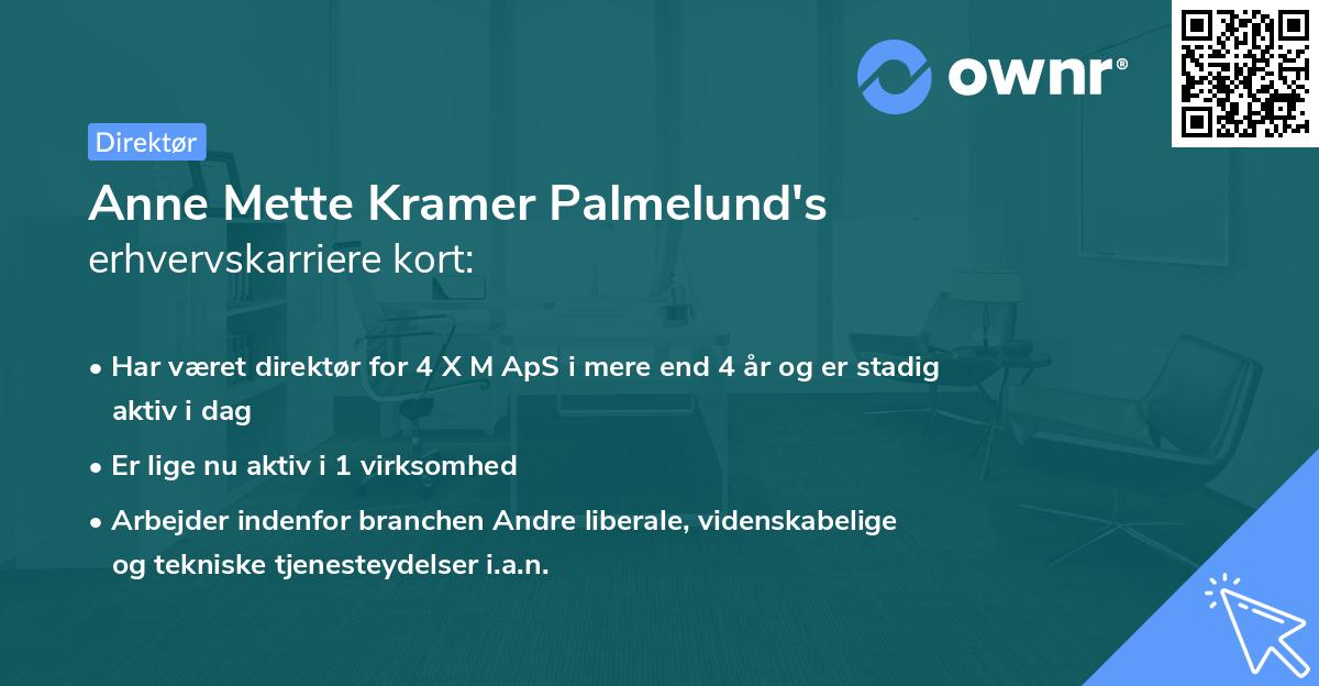 Anne Mette Kramer Palmelund's erhvervskarriere kort