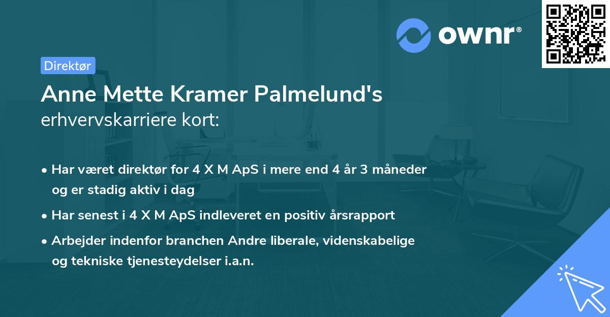 Anne Mette Kramer Palmelund's erhvervskarriere kort