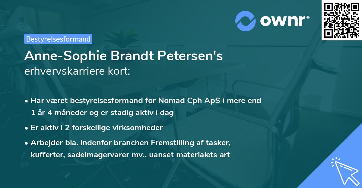 Anne-Sophie Brandt Petersen's erhvervskarriere kort