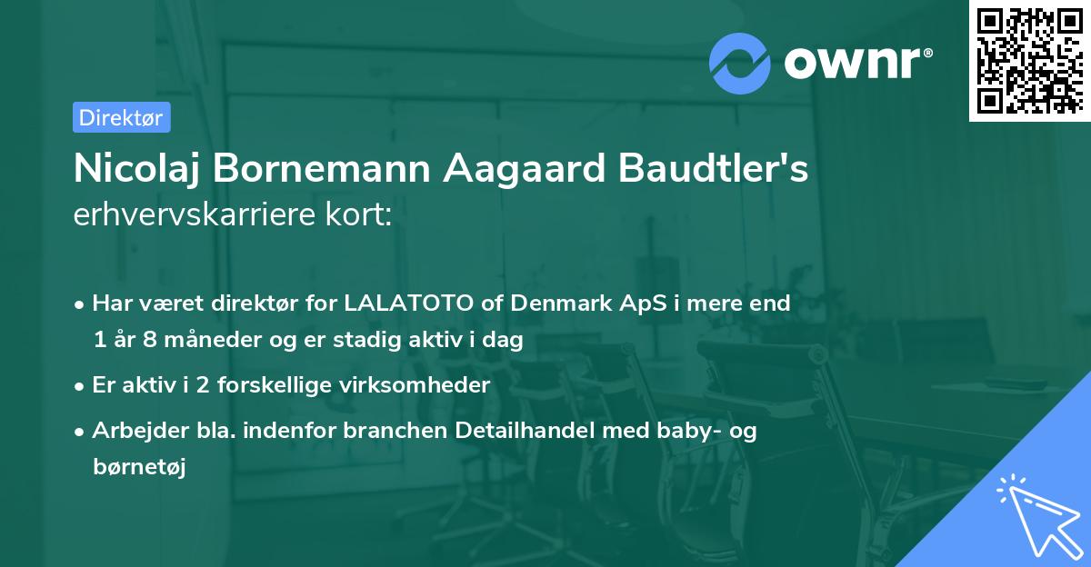 Nicolaj Bornemann Aagaard Baudtler's erhvervskarriere kort