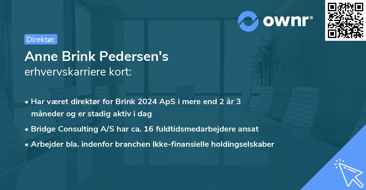 Anne Brink Pedersen's erhvervskarriere kort