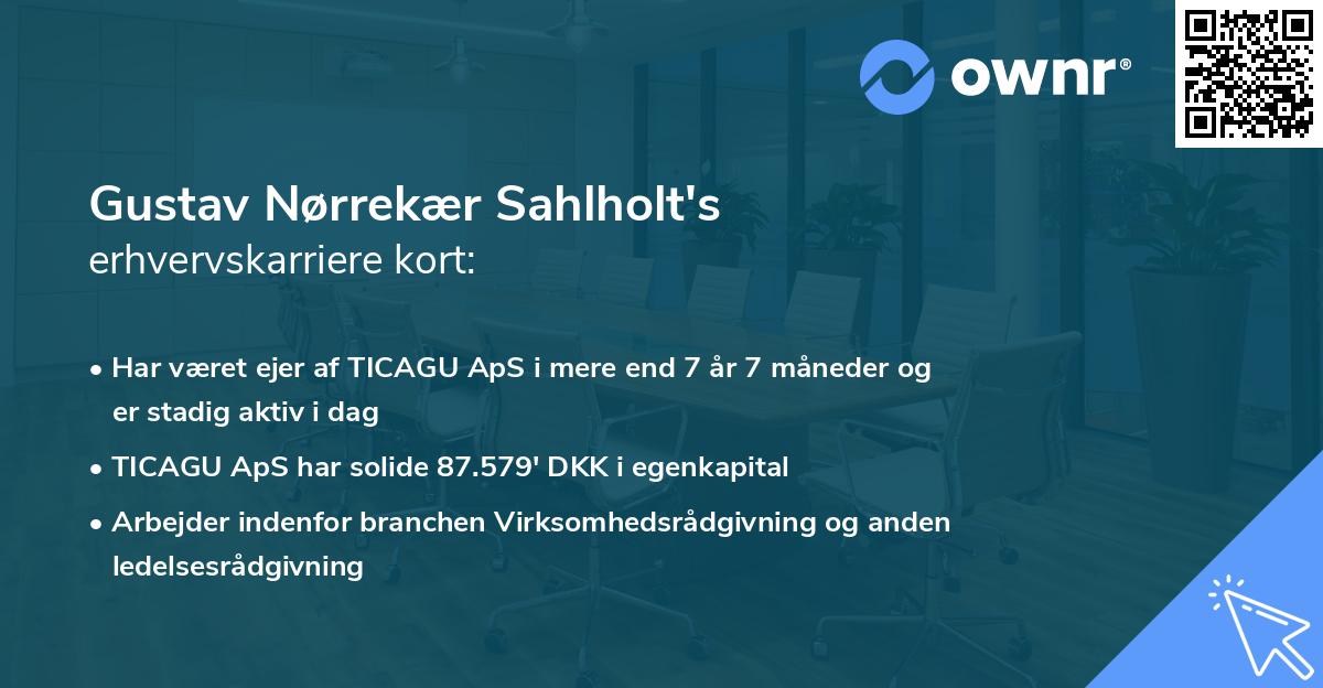 Gustav Nørrekær Sahlholt's erhvervskarriere kort