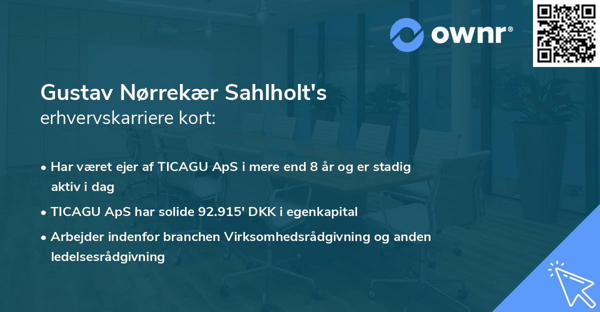 Gustav Nørrekær Sahlholt's erhvervskarriere kort