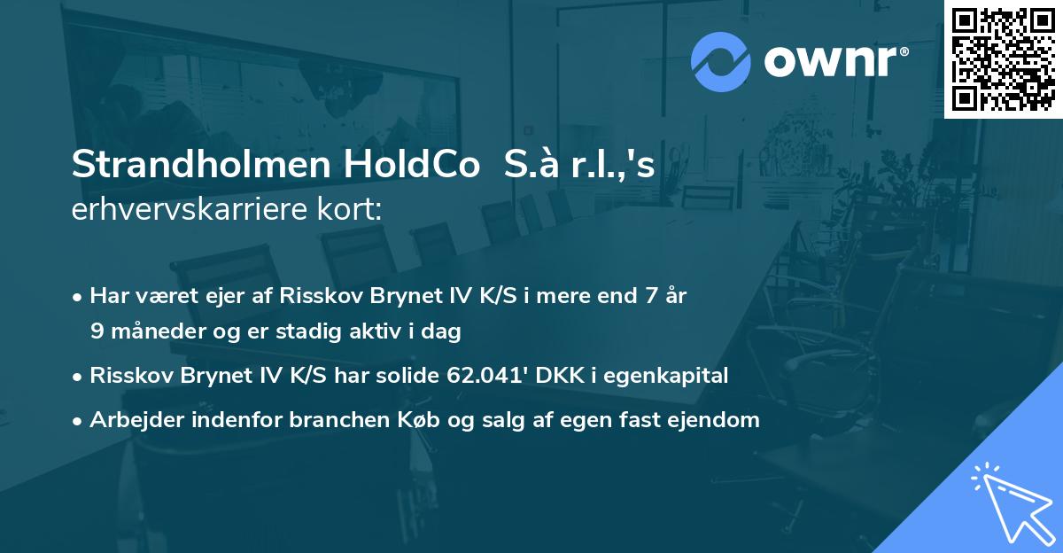 Strandholmen HoldCo S.à r.l.,'s erhvervskarriere kort