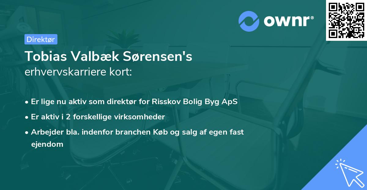 Tobias Valbæk Sørensen's erhvervskarriere kort