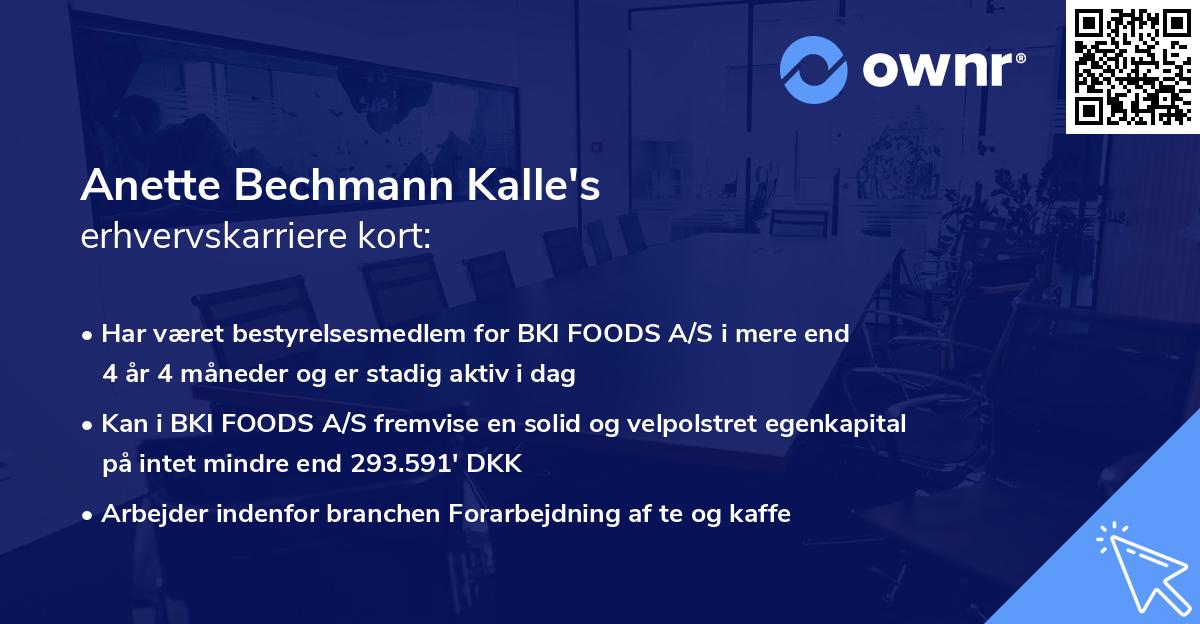 Anette Bechmann Kalle's erhvervskarriere kort