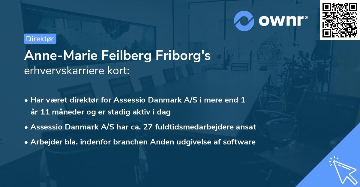 Anne-Marie Feilberg Friborg's erhvervskarriere kort